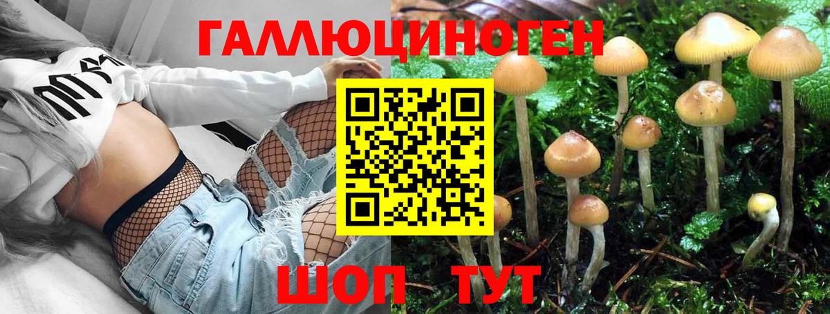 Псилоцибиновые грибы Psilocybe  Вход с VPN  Валуйки 